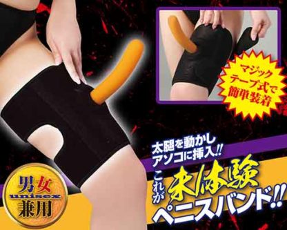 ペニックスバンド　サイ2